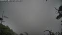 ./images/calvert/fitz-hugh-hecate/20250707/fitz-hugh-hecate20250707_193009M.jpg