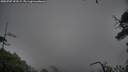 ./images/calvert/fitz-hugh-hecate/20250707/fitz-hugh-hecate20250707_193509M.jpg