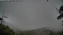 ./images/calvert/fitz-hugh-hecate/20250707/fitz-hugh-hecate20250707_194007M.jpg