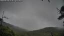 ./images/calvert/fitz-hugh-hecate/20250707/fitz-hugh-hecate20250707_195508M.jpg