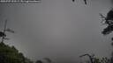 ./images/calvert/fitz-hugh-hecate/20250707/fitz-hugh-hecate20250707_200509M.jpg