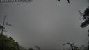 ./images/calvert/fitz-hugh-hecate/20250707/fitz-hugh-hecate20250707_201507M.jpg