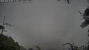 ./images/calvert/fitz-hugh-hecate/20250707/fitz-hugh-hecate20250707_202006M.jpg