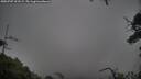 ./images/calvert/fitz-hugh-hecate/20250707/fitz-hugh-hecate20250707_202509M.jpg