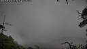./images/calvert/fitz-hugh-hecate/20250707/fitz-hugh-hecate20250707_203507M.jpg