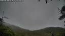 ./images/calvert/fitz-hugh-hecate/20250707/fitz-hugh-hecate20250707_205009M.jpg