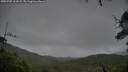./images/calvert/fitz-hugh-hecate/20250707/fitz-hugh-hecate20250707_211009M.jpg