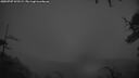 ./images/calvert/fitz-hugh-hecate/20250707/fitz-hugh-hecate20250707_222509M.jpg