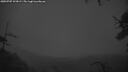 ./images/calvert/fitz-hugh-hecate/20250707/fitz-hugh-hecate20250707_223009M.jpg
