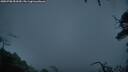 ./images/calvert/fitz-hugh-hecate/20250708/fitz-hugh-hecate20250708_051009M.jpg