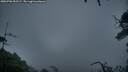 ./images/calvert/fitz-hugh-hecate/20250708/fitz-hugh-hecate20250708_052507M.jpg
