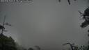 ./images/calvert/fitz-hugh-hecate/20250708/fitz-hugh-hecate20250708_053508M.jpg
