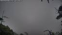 ./images/calvert/fitz-hugh-hecate/20250708/fitz-hugh-hecate20250708_054008M.jpg