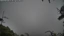 ./images/calvert/fitz-hugh-hecate/20250708/fitz-hugh-hecate20250708_060509M.jpg