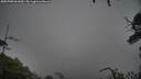 ./images/calvert/fitz-hugh-hecate/20250708/fitz-hugh-hecate20250708_061010M.jpg