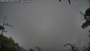 ./images/calvert/fitz-hugh-hecate/20250708/fitz-hugh-hecate20250708_062009M.jpg