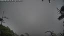 ./images/calvert/fitz-hugh-hecate/20250708/fitz-hugh-hecate20250708_062509M.jpg