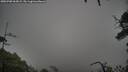 ./images/calvert/fitz-hugh-hecate/20250708/fitz-hugh-hecate20250708_063009M.jpg