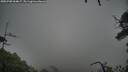 ./images/calvert/fitz-hugh-hecate/20250708/fitz-hugh-hecate20250708_064007M.jpg
