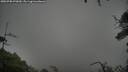 ./images/calvert/fitz-hugh-hecate/20250708/fitz-hugh-hecate20250708_070010M.jpg