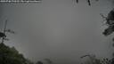 ./images/calvert/fitz-hugh-hecate/20250708/fitz-hugh-hecate20250708_070510M.jpg