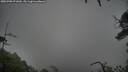 ./images/calvert/fitz-hugh-hecate/20250708/fitz-hugh-hecate20250708_071009M.jpg