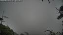 ./images/calvert/fitz-hugh-hecate/20250708/fitz-hugh-hecate20250708_071509M.jpg