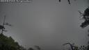 ./images/calvert/fitz-hugh-hecate/20250708/fitz-hugh-hecate20250708_072510M.jpg