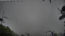 ./images/calvert/fitz-hugh-hecate/20250708/fitz-hugh-hecate20250708_073010M.jpg