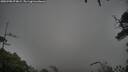 ./images/calvert/fitz-hugh-hecate/20250708/fitz-hugh-hecate20250708_074009M.jpg