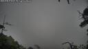 ./images/calvert/fitz-hugh-hecate/20250708/fitz-hugh-hecate20250708_074510M.jpg