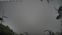 ./images/calvert/fitz-hugh-hecate/20250708/fitz-hugh-hecate20250708_075010M.jpg