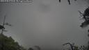 ./images/calvert/fitz-hugh-hecate/20250708/fitz-hugh-hecate20250708_075510M.jpg
