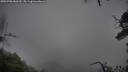 ./images/calvert/fitz-hugh-hecate/20250708/fitz-hugh-hecate20250708_081010M.jpg