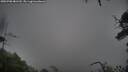 ./images/calvert/fitz-hugh-hecate/20250708/fitz-hugh-hecate20250708_081510M.jpg