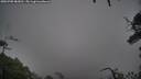 ./images/calvert/fitz-hugh-hecate/20250708/fitz-hugh-hecate20250708_083011M.jpg