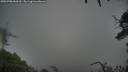 ./images/calvert/fitz-hugh-hecate/20250708/fitz-hugh-hecate20250708_084509M.jpg