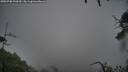 ./images/calvert/fitz-hugh-hecate/20250708/fitz-hugh-hecate20250708_090010M.jpg