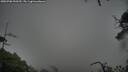 ./images/calvert/fitz-hugh-hecate/20250708/fitz-hugh-hecate20250708_090509M.jpg