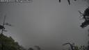 ./images/calvert/fitz-hugh-hecate/20250708/fitz-hugh-hecate20250708_091510M.jpg