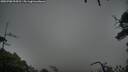 ./images/calvert/fitz-hugh-hecate/20250708/fitz-hugh-hecate20250708_094513M.jpg
