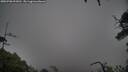 ./images/calvert/fitz-hugh-hecate/20250708/fitz-hugh-hecate20250708_095012M.jpg