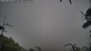 ./images/calvert/fitz-hugh-hecate/20250708/fitz-hugh-hecate20250708_095510M.jpg