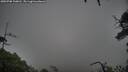 ./images/calvert/fitz-hugh-hecate/20250708/fitz-hugh-hecate20250708_100011M.jpg