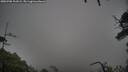 ./images/calvert/fitz-hugh-hecate/20250708/fitz-hugh-hecate20250708_101009M.jpg