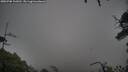 ./images/calvert/fitz-hugh-hecate/20250708/fitz-hugh-hecate20250708_102012M.jpg