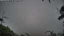 ./images/calvert/fitz-hugh-hecate/20250708/fitz-hugh-hecate20250708_102509M.jpg