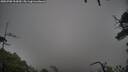 ./images/calvert/fitz-hugh-hecate/20250708/fitz-hugh-hecate20250708_103010M.jpg