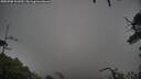 ./images/calvert/fitz-hugh-hecate/20250708/fitz-hugh-hecate20250708_103510M.jpg