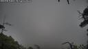 ./images/calvert/fitz-hugh-hecate/20250708/fitz-hugh-hecate20250708_104010M.jpg